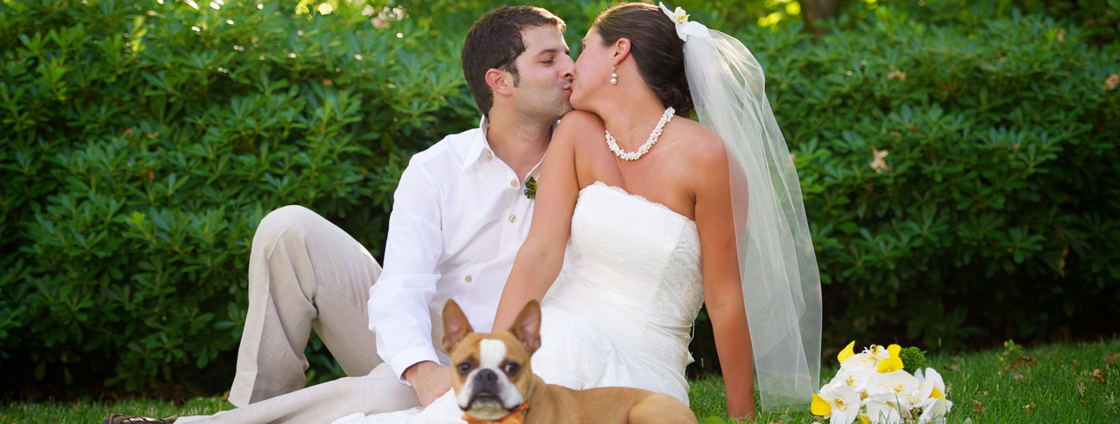 云呼网页版免费试用